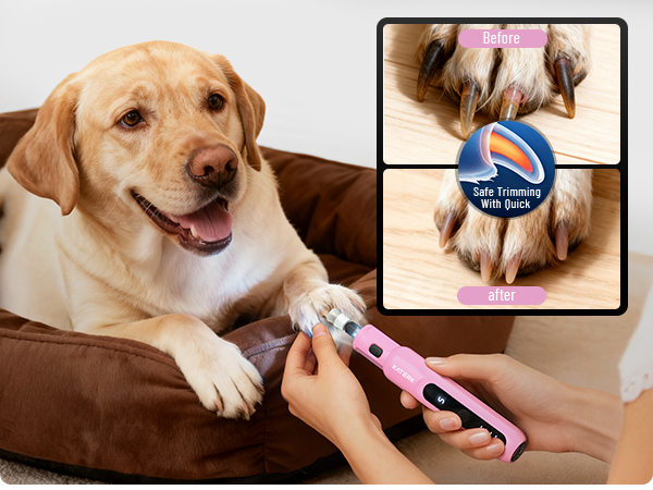 dog nail grinder quiet for large dogs