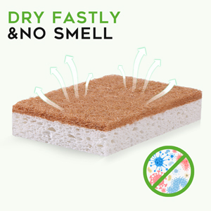 natural dish spongs