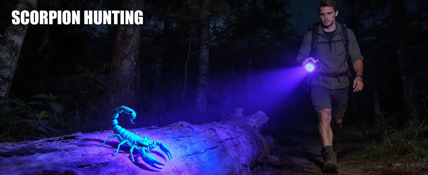 uv light flashlight
