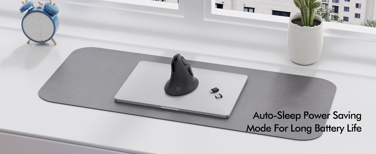 Ergonomic Mouse