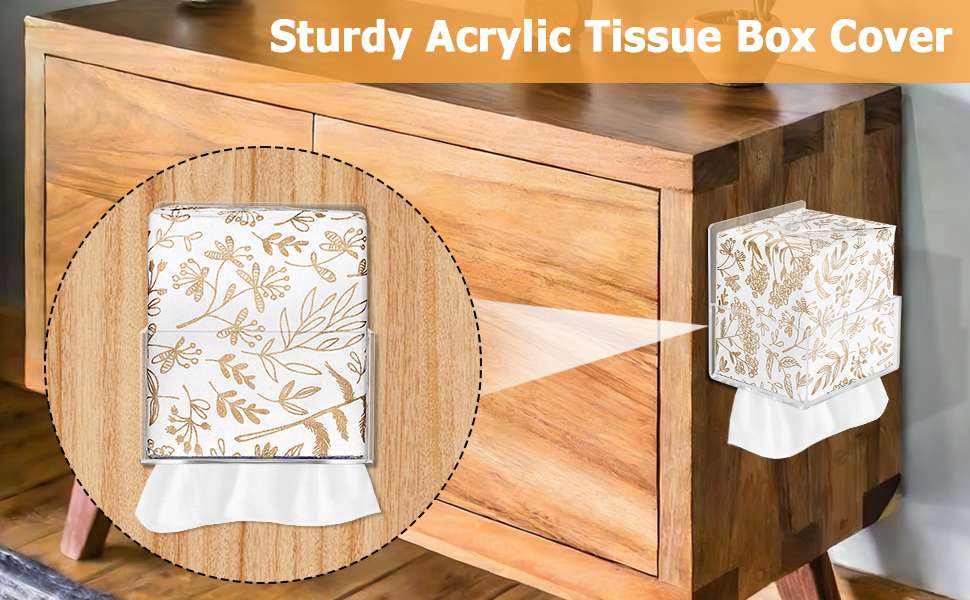 Acrylic Tissue Box Holder Wall Mounted