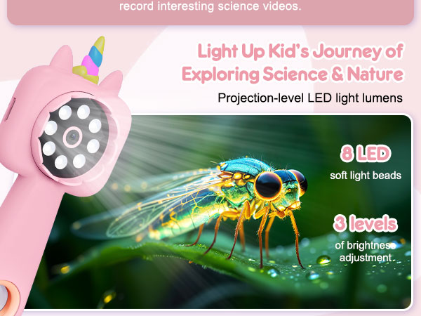 magnifying glass for kids