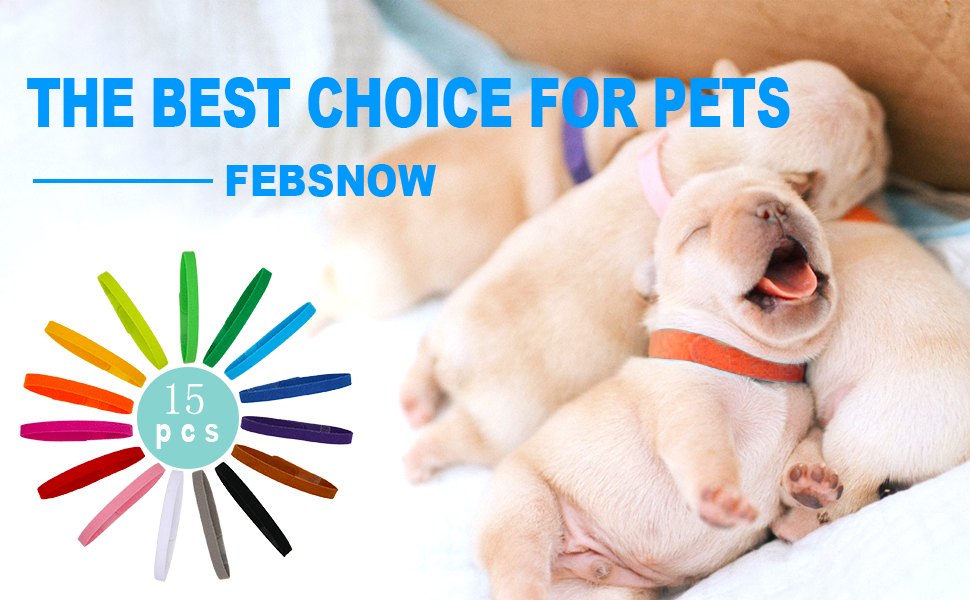 THE BEST CHOICE FOR PETS-FEBSNOW