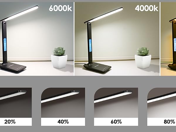 Desk Lamp