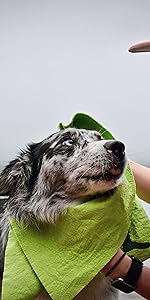 https://m.media-amazon.com/images/S/aplus-media-library-service-media/602a6a58-b2d6-41ce-bf11-a6a19a38bf06.__CR473,0,1985,3969_PT0_SX150_V1___.jpg