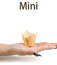 https://m.media-amazon.com/images/S/aplus-media-library-service-media/80a6ec05-f9f4-4e5e-b1f3-9ef923a7aa3e.__AC_SR200,225___.jpg
