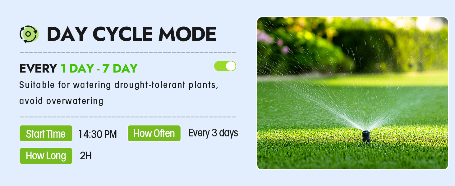 watering timer 2 outlet