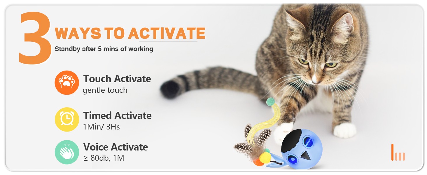 cat toy