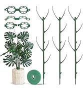 HOMEBROS Plant Support Stakes, 6 Pcs Stackable Plant Support Poles with 20 Clips, 1 Roll Tie for ...