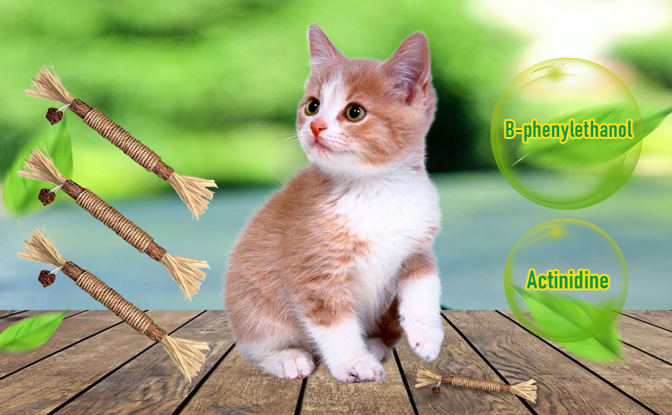 Silvervine for Cats