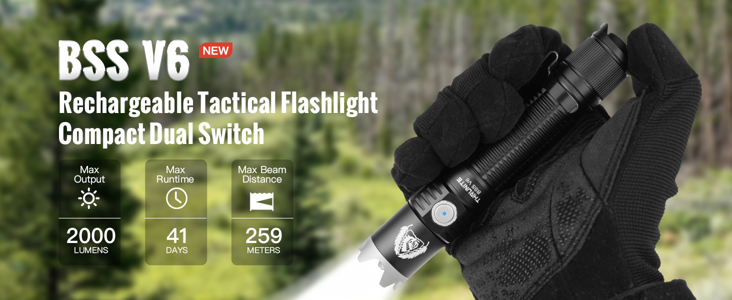 BSS V6 rechargeable light