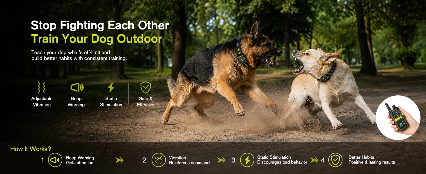 training dog collar