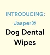dog dental