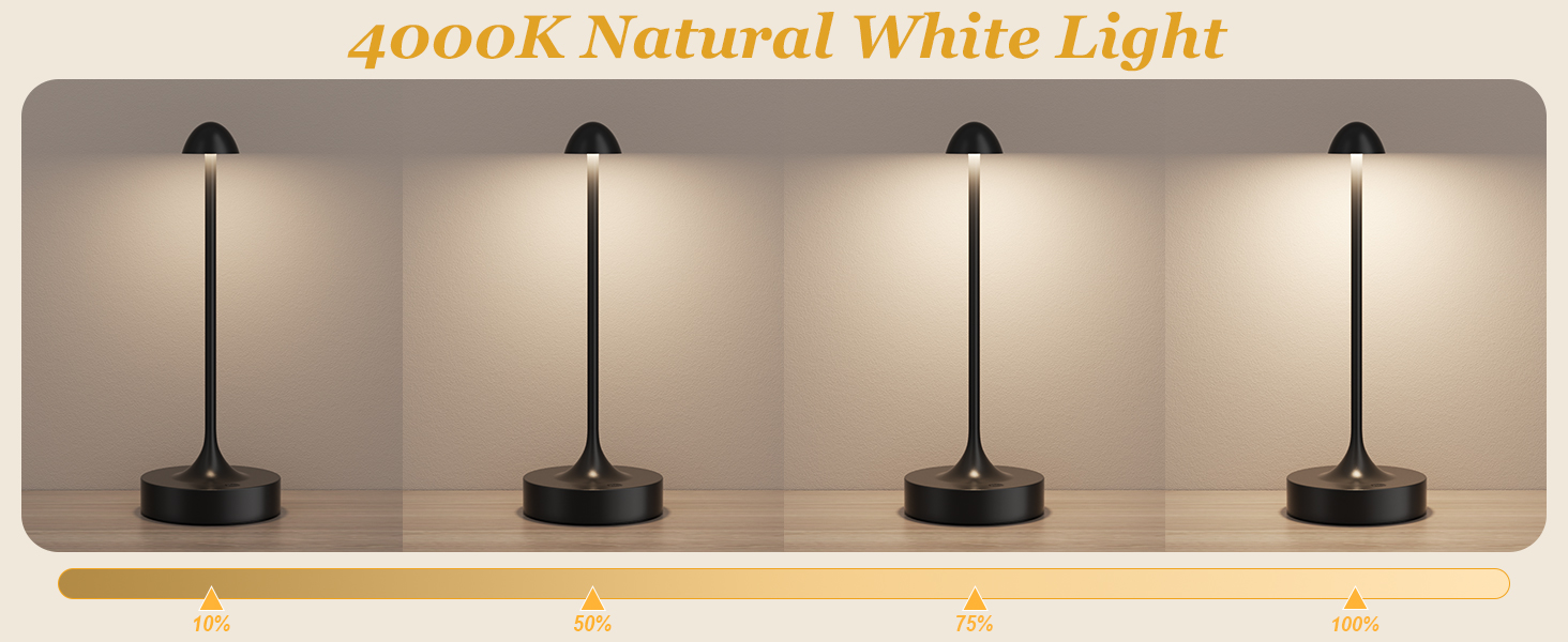 battery lamp