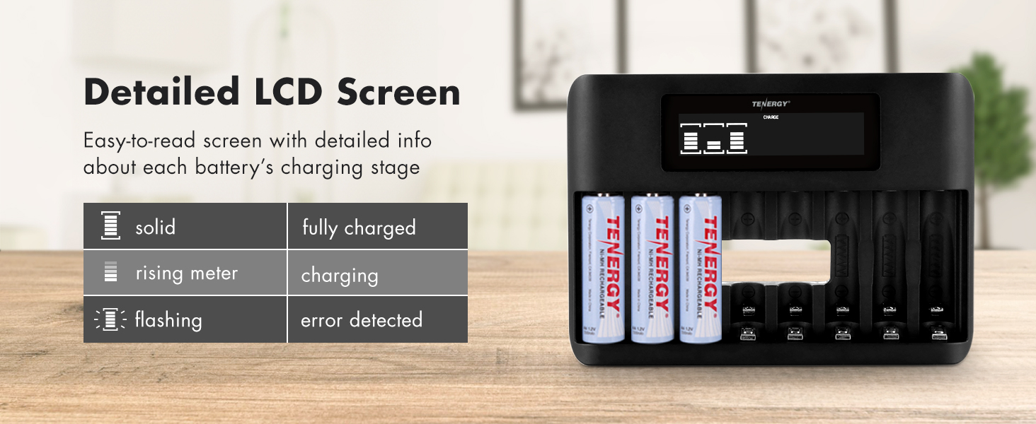LCD screen that provides detailed charging status for each individual battery