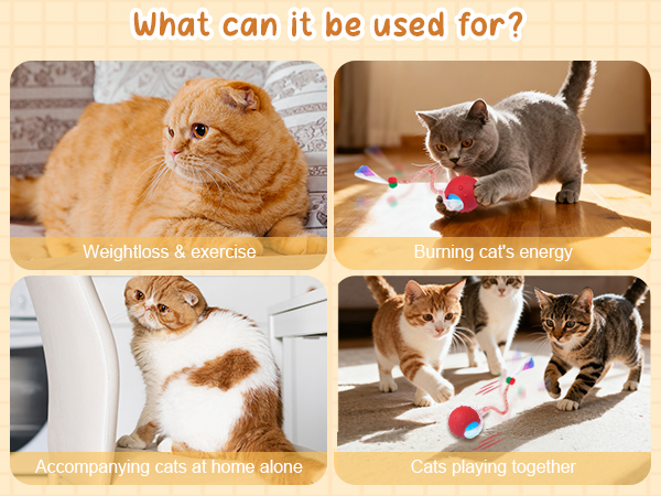 moving cat toys for indoor cats