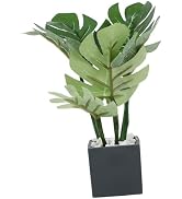 Abaodam Miniature Potted Plants Miniature Plant Pots Plastic Ob11 Succulent Plants Artificial Tin...