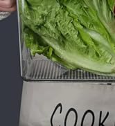 clear bins