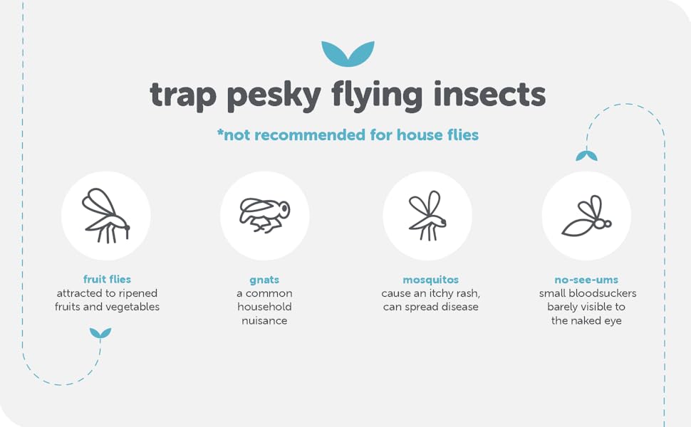 trap pesky flying insects