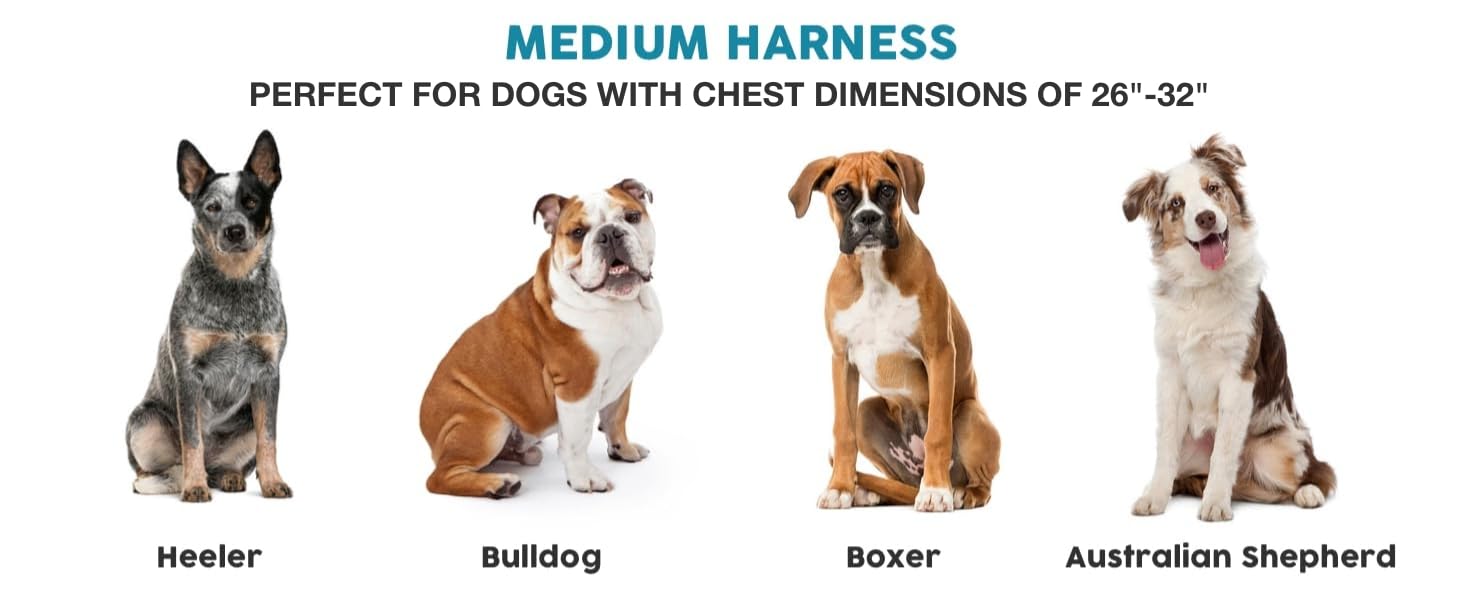 No Pull Dog harness Medium