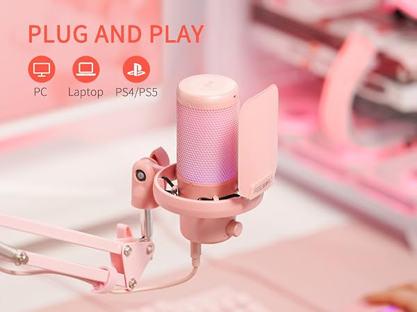 Plug and Play