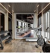 Vlush Home Gym Mirror Tiles 11'' x 11'' x 12PCS Adhesive Full Body & Full Length Mirror Wall Moun...