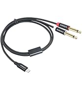 Lrbners USB-C to Dual 6.35mm TS Male Cable 3.3FT - USB-C Digital to Dual Mono 1/4