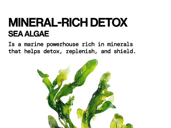 phthalates sls mineral white tea morning night rinse beauty gentle combination oily fave skincare