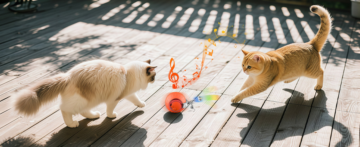 cat rolling ball toy