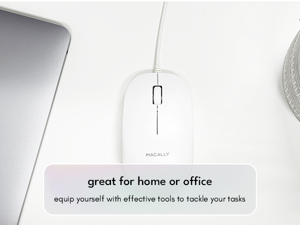 mouse
