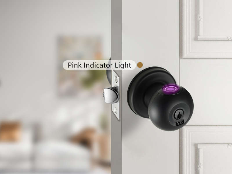 Pink Indicator Light