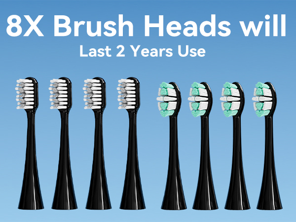 8 brush heads