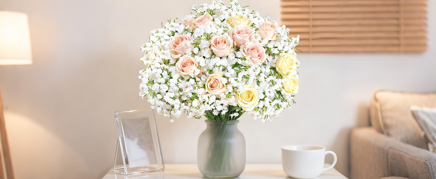 babys breath