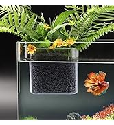 Transparent Aquarium Plant Holder,Betta Fish Tank Accessories Rainforest Style Aquarium Planter, ...
