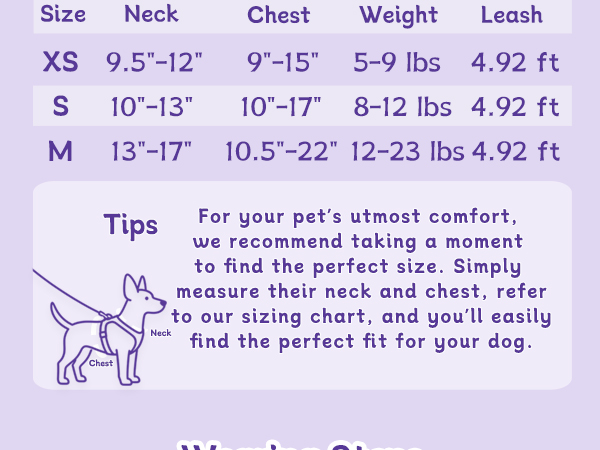 small dog harness
