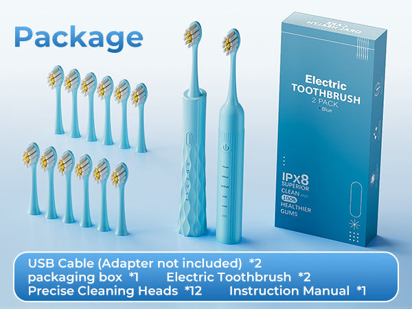 electric toothbrush