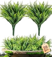 fake fern