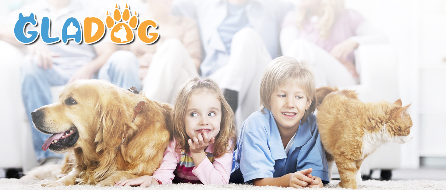 aplus content image
