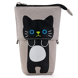 pencil pouch standing