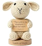 Christian Gifts for Women Men | 30 Bible Verses Signs for Every Mood - Positive Crochet Lamb for ...