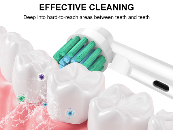 Toothbrush Heads