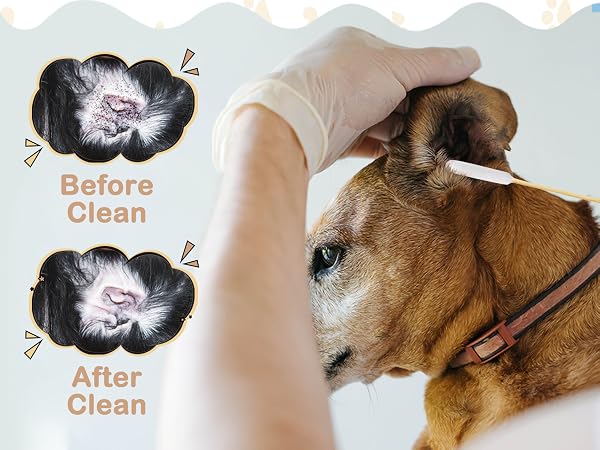cotton swabs for application