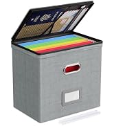 Oterri 1 Pack File Organizer Boxes with Lids, File Box with Mesh Pockets, Document Organizer Box ...