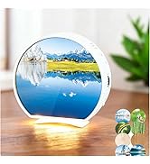 Bird Chirping Motion Sensor Box, Nature Sounds Box with Night Light, Timer, 8 Songs, 9 DIY Patter...