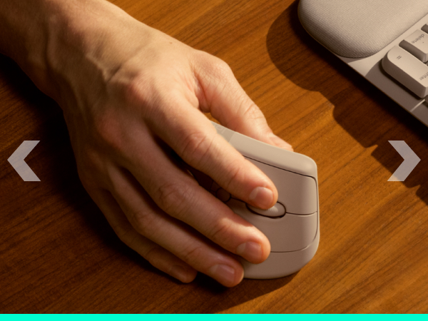 a hand holding a mouse