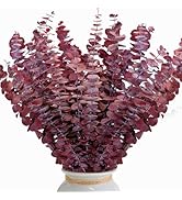26Pcs Real Dried Fall Eucalyptus Stems, 17" Red Preserved Eucalyptus Stems for Vase, Home Decor, ...