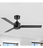 ZYD Black Ceiling Fan no Light, 48 inch Ceiling Fans with Lights and remote, Reversible, 1980 Lum...