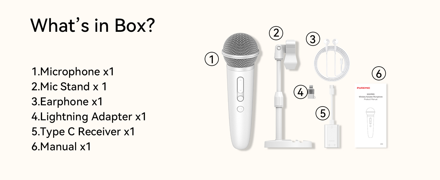 mic with stand