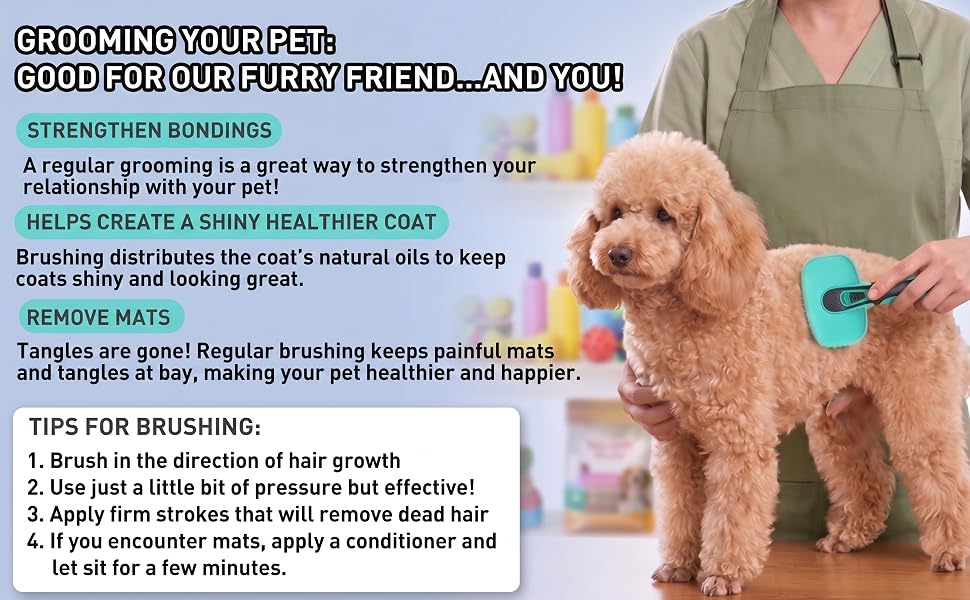 dog brush for shedding