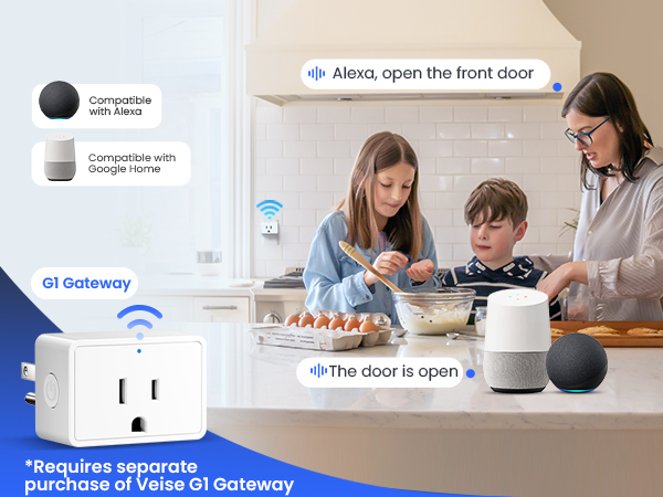 voice control